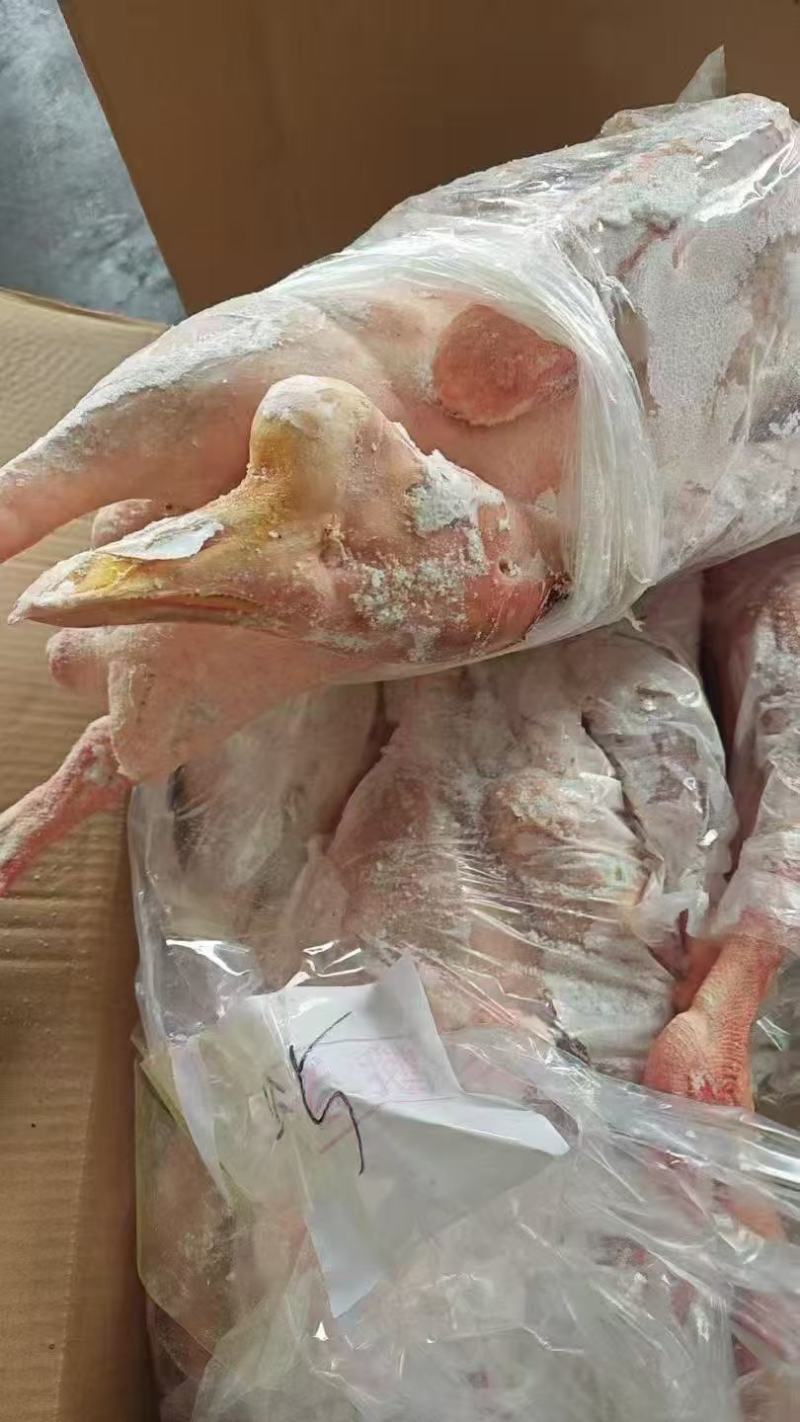 老鹅规格齐全，工厂直接发货，货源充足