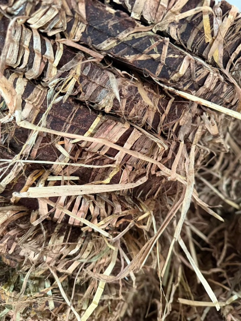 茶粕