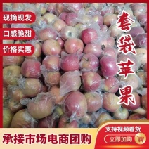 陕西膜袋红富士苹果
