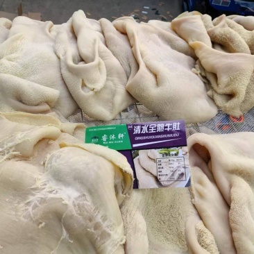 清水全熟牛肚