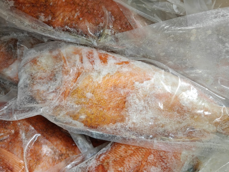 红石斑鱼石九公大规格2斤清蒸品质
