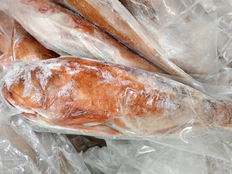 红石斑鱼石九公大规格2斤清蒸品质