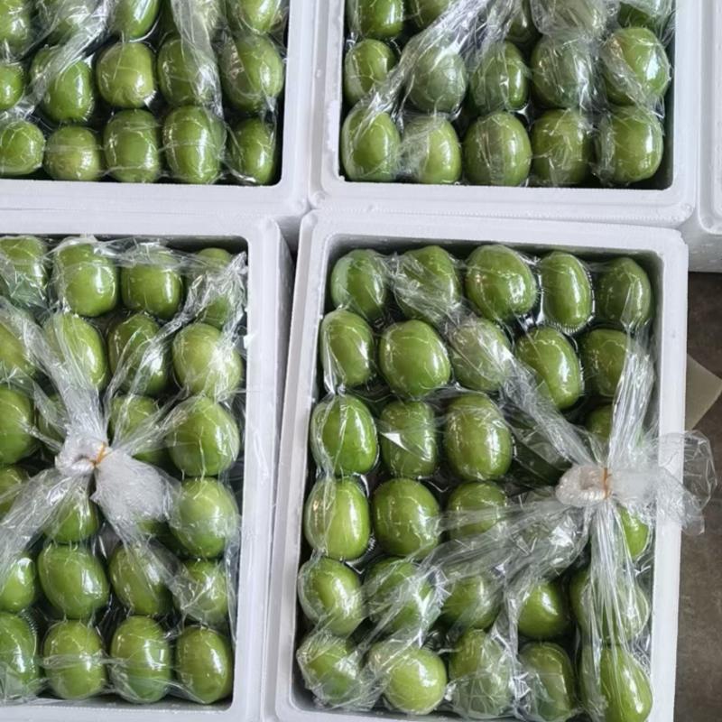 青枣云南精品发货鲜枣果子饱满价格合理欢迎进店