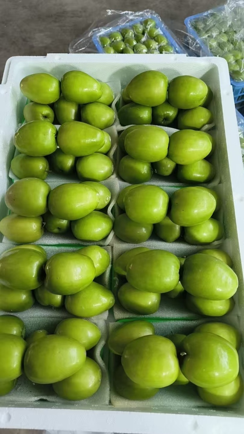 青枣云南精品发货鲜枣果子饱满价格合理欢迎进店