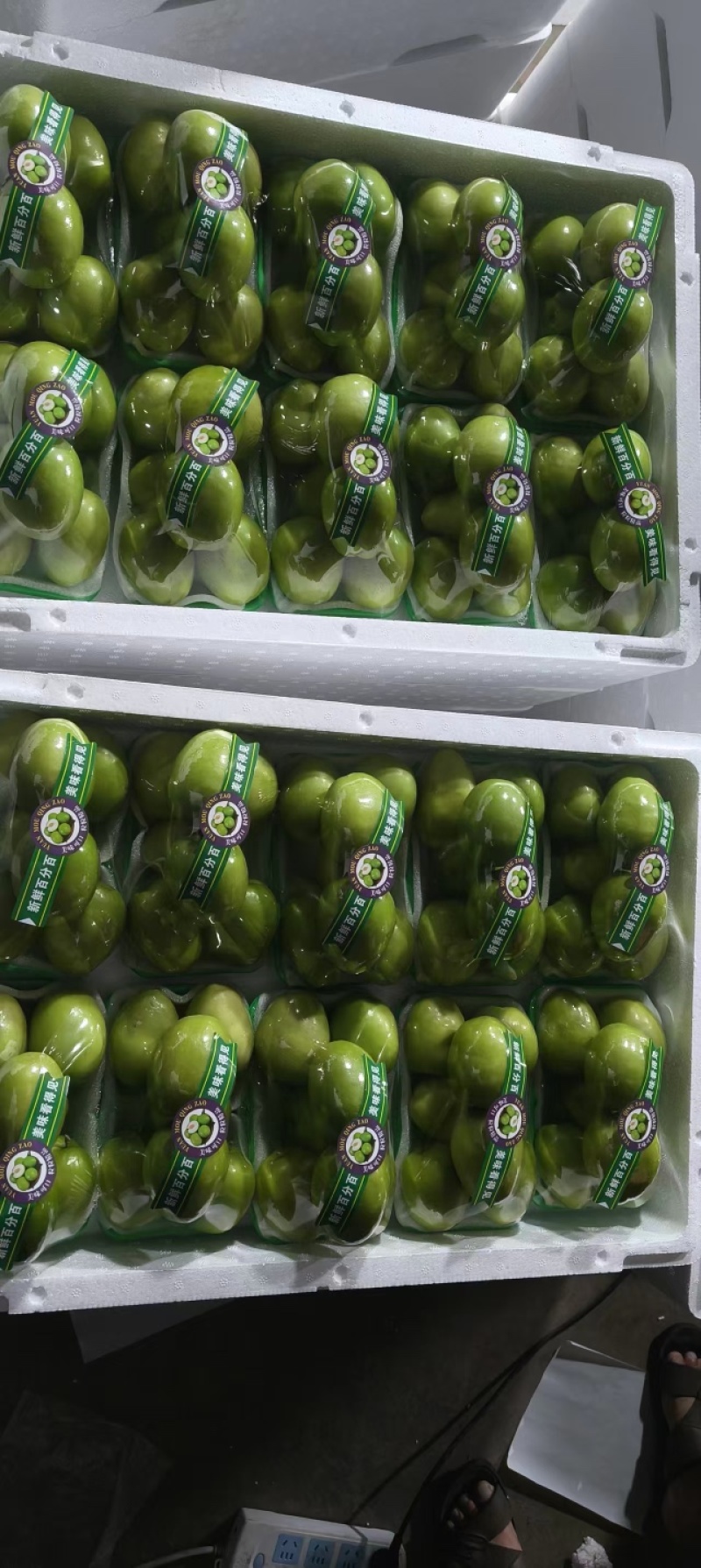 青枣云南精品发货鲜枣果子饱满价格合理欢迎进店