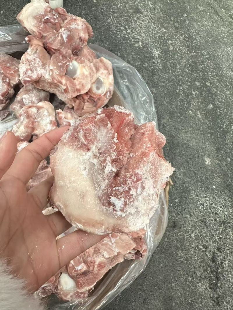 国产肉前骨