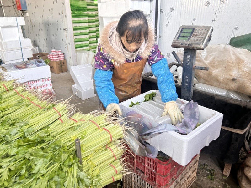 香芹