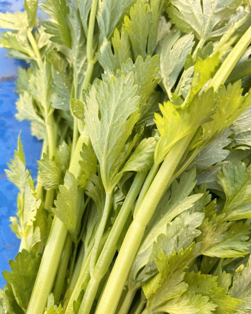 香芹