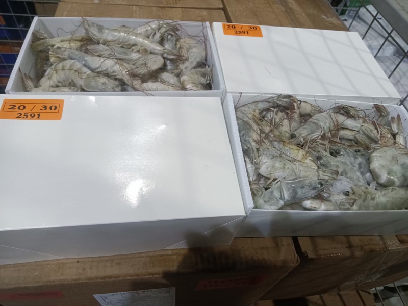 白虾，型号齐全价格优美，欢迎私聊