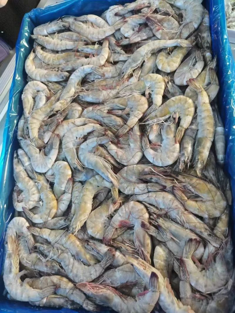 白虾，型号齐全价格优美，欢迎私聊