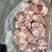 国产前棒骨头物流直达全国发货