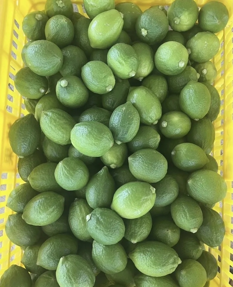 香水柠檬干品质优自然晒干基地直供可视频看货欢迎咨询