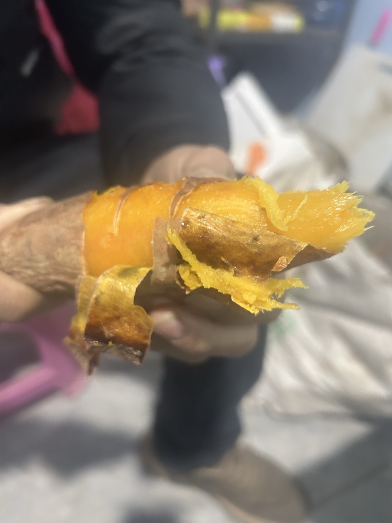 烟台蜜薯中瓜烤瓜都有可以分捡，需要的联系
