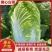 【质优】产地直发精品黄心白菜物美价廉量大从优