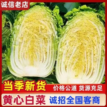 【牛商优选】优质黄心白菜质优价廉保质保量对接电商超