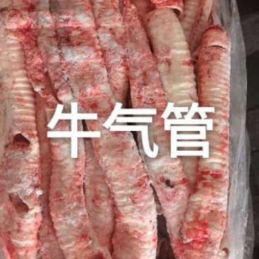 牛气管