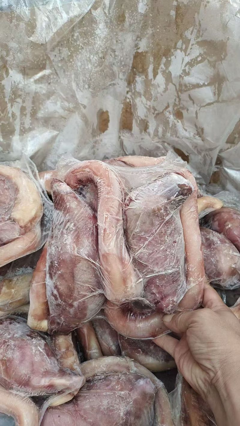 精修牛鞭宝