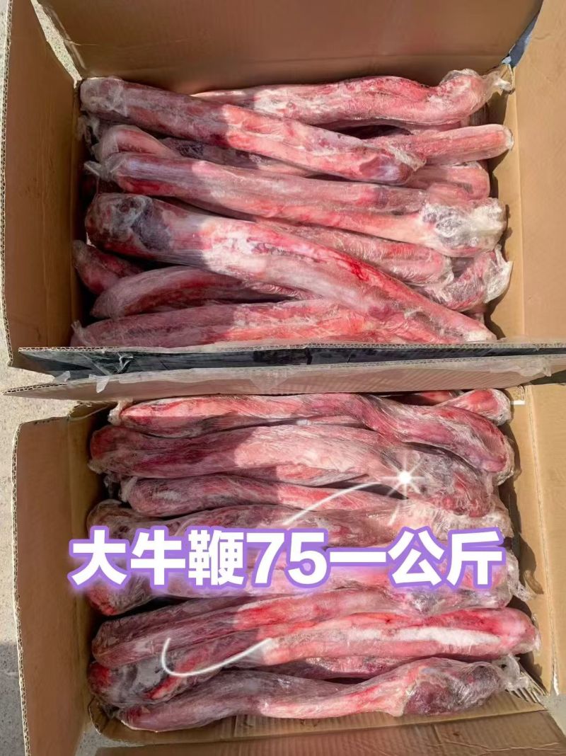 单根大牛鞭