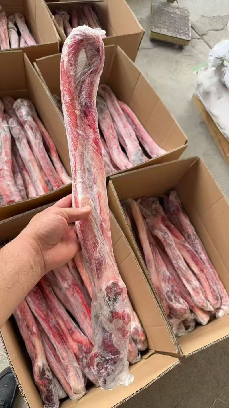 单根大牛鞭