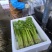 山东康禾芹菜寻全国合作伙伴源头直供