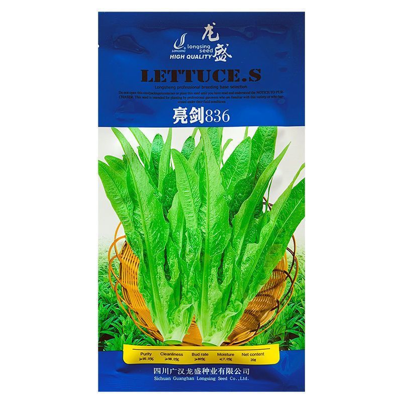 龙盛无斑厚叶油麦菜种子大叶鲜香油麦菜种籽春秋农家蔬菜种籽