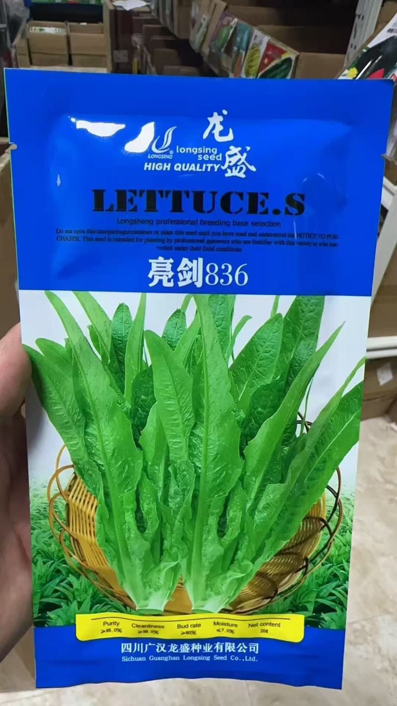 龙盛无斑厚叶油麦菜种子大叶鲜香油麦菜种籽春秋农家蔬菜种籽