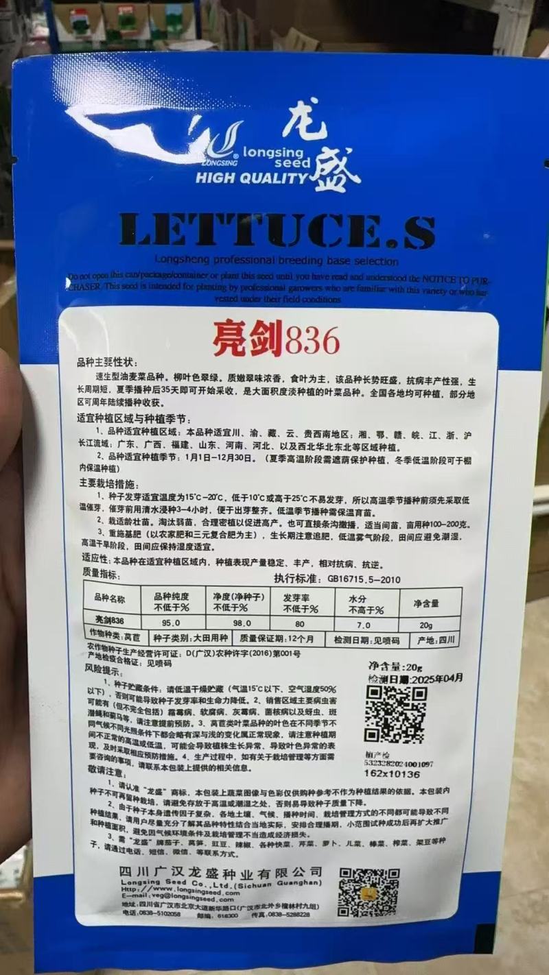 龙盛无斑厚叶油麦菜种子大叶鲜香油麦菜种籽春秋农家蔬菜种籽