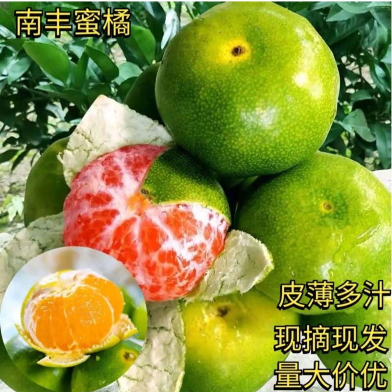 南丰蜜橘，纯甜无渣，对接市场，出口，大量供应，现采现发