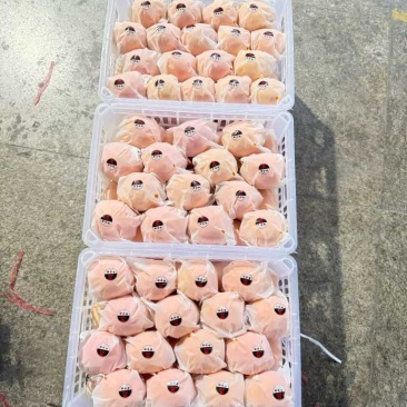 【推荐】秭归脐橙/纽荷尔脐橙/支持批发一件代发/视频看货
