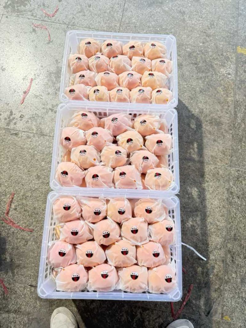 【推荐】秭归脐橙/纽荷尔脐橙/支持批发一件代发/视频看货