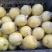 河北泊头膜袋鸭梨纸袋鸭梨主产区。。
