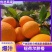 脐橙价格美丽品质保证一手货源欢迎老板联系沟通