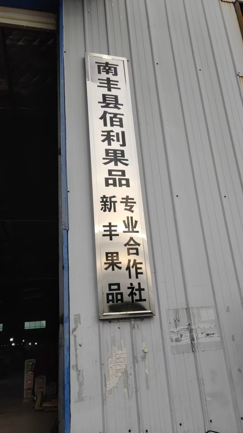 脐橙价格美丽品质保证一手货源欢迎老板联系沟通