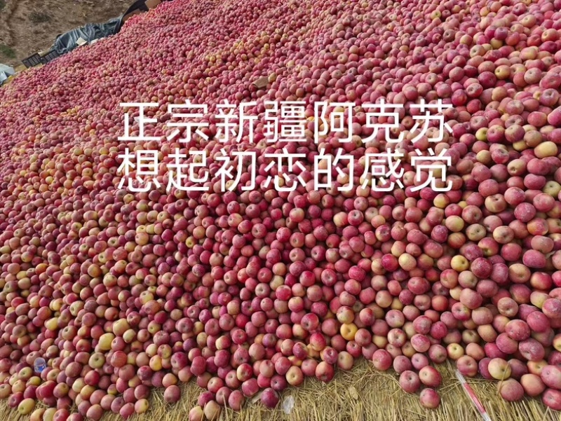 阿克苏苹果