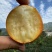 四川大凉山脆蜜金桔，大量有货