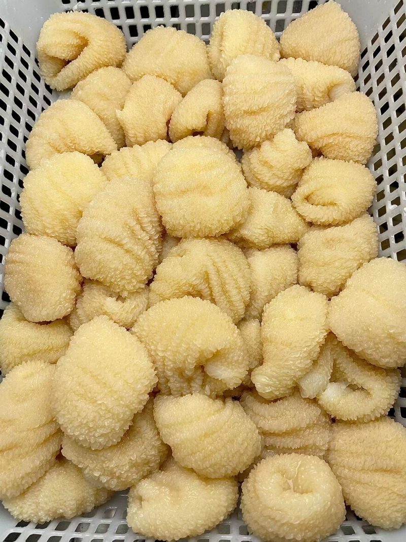 【工厂直发】鸡蛋包鸡毛肚适合用于自助餐，冒菜火锅
