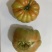 马蹄番茄/狮子头番茄/牛排番茄/西红柿/丑番茄/云南高原