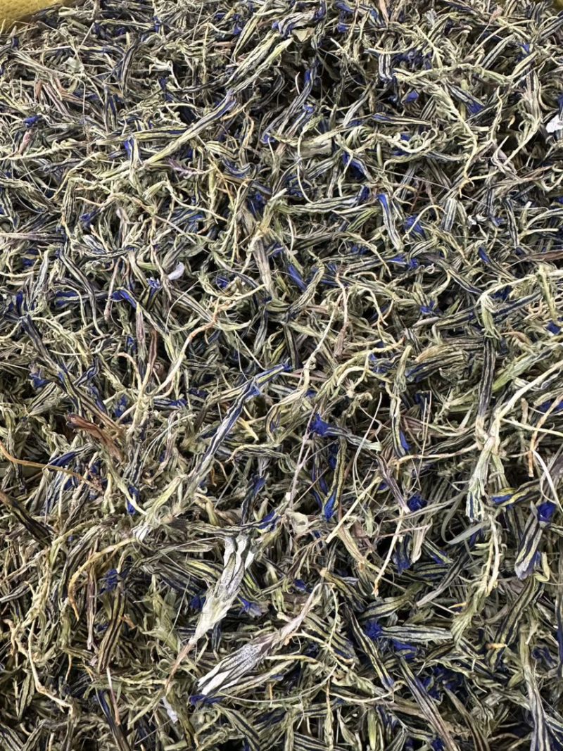 龙胆花
