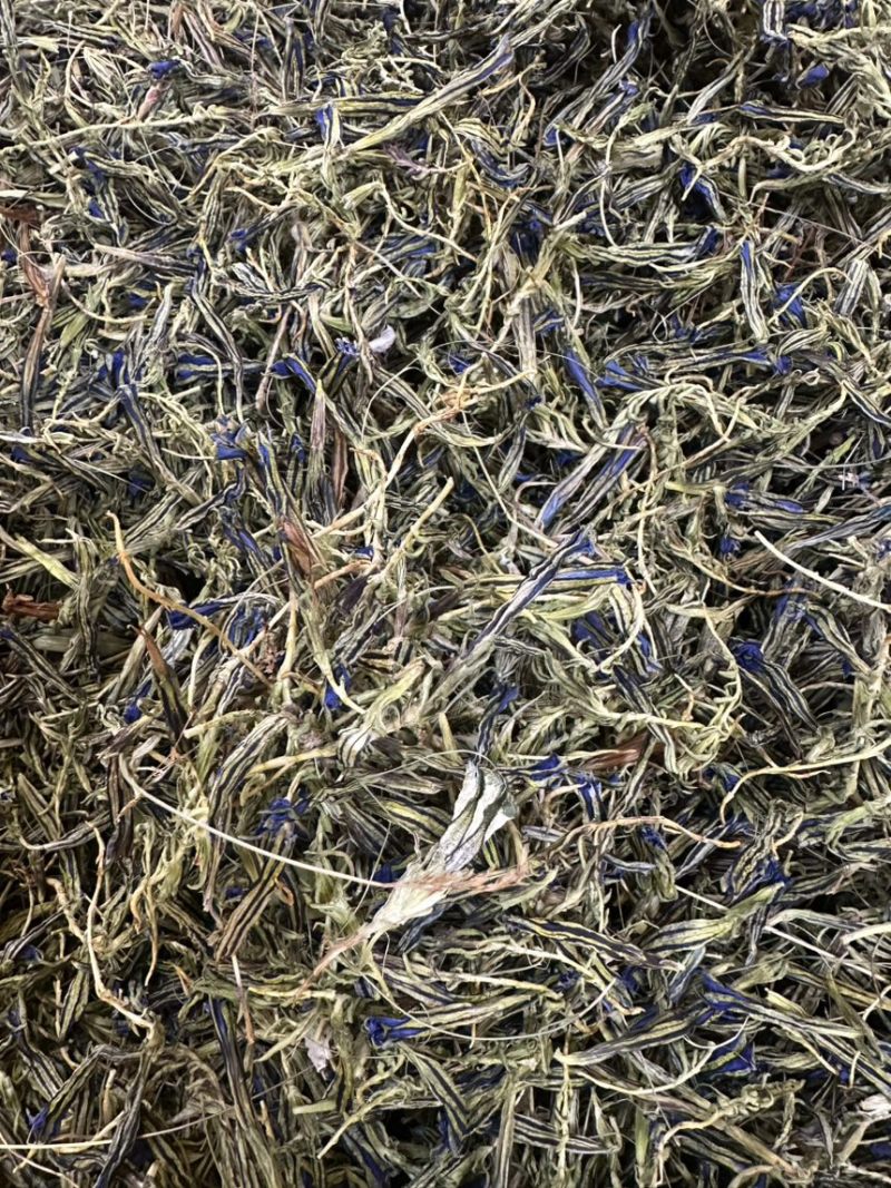 龙胆花