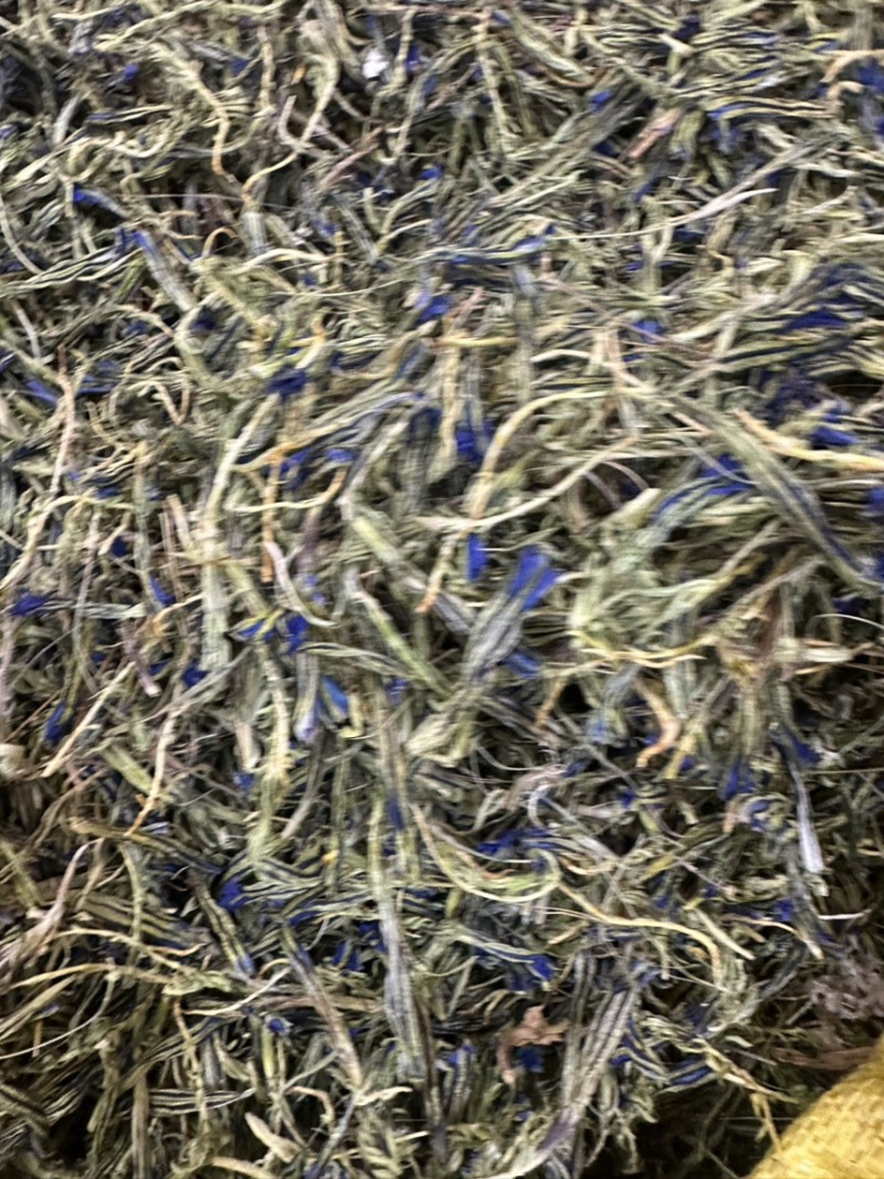龙胆花