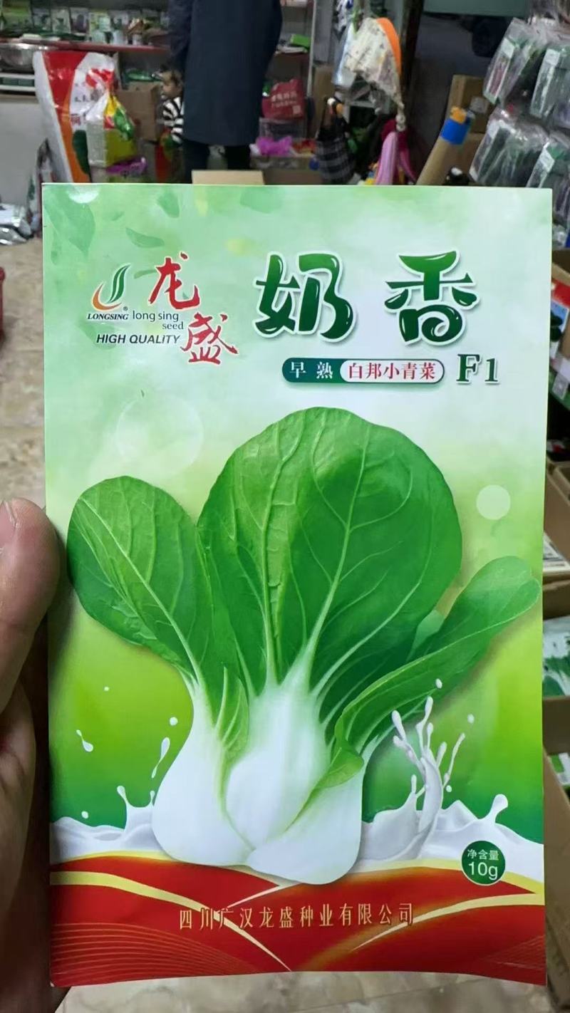 龙盛奶香白邦小青菜种子早熟高产耐热四季小白菜种籽农家春秋