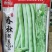 春秋红花白荚架豆种子早熟长荚嫩白豆角春秋高产四季豆种籽