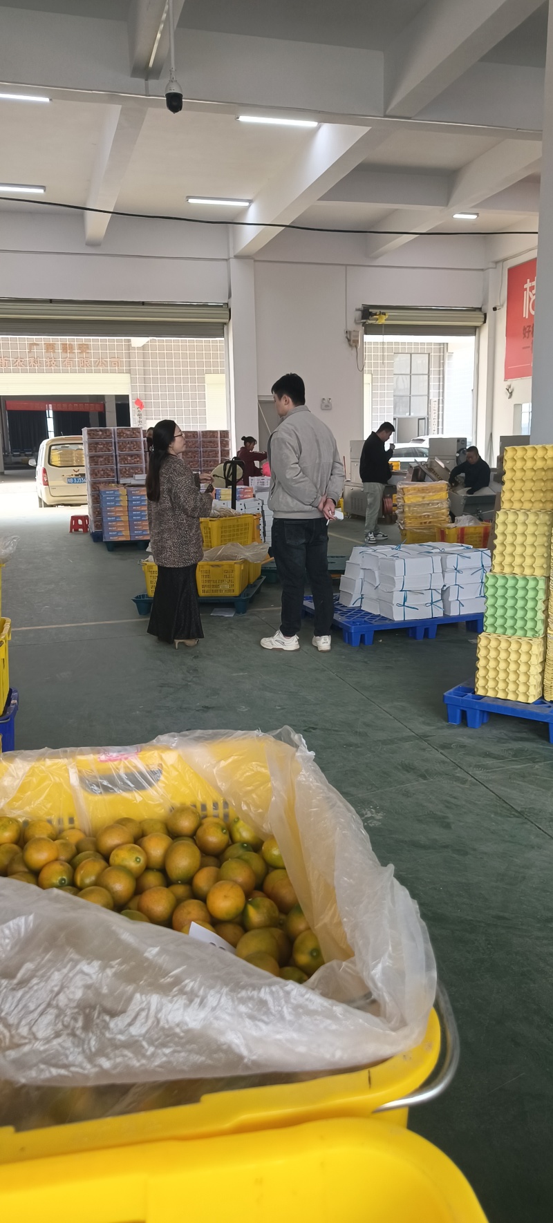 融安脆密滑皮金桔