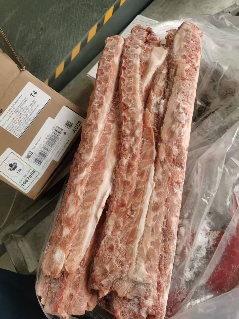 多肉猪背骨