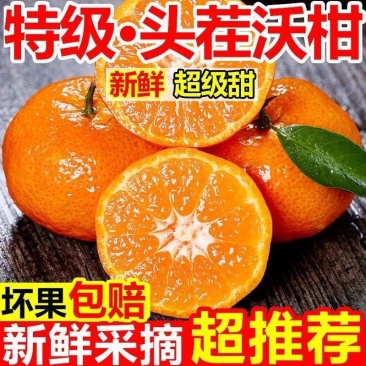 云南高山沃柑大量现货供应支持电商一件代发保质保量