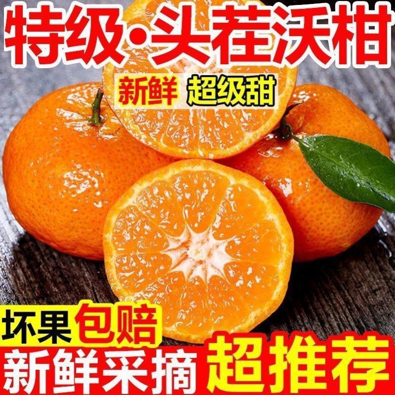 云南高山沃柑大量现货供应支持电商一件代发保质保量