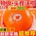 云南高山沃柑大量现货供应支持电商一件代发保质保量
