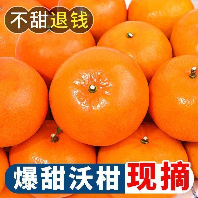 云南高山沃柑大量现货供应支持电商一件代发保质保量