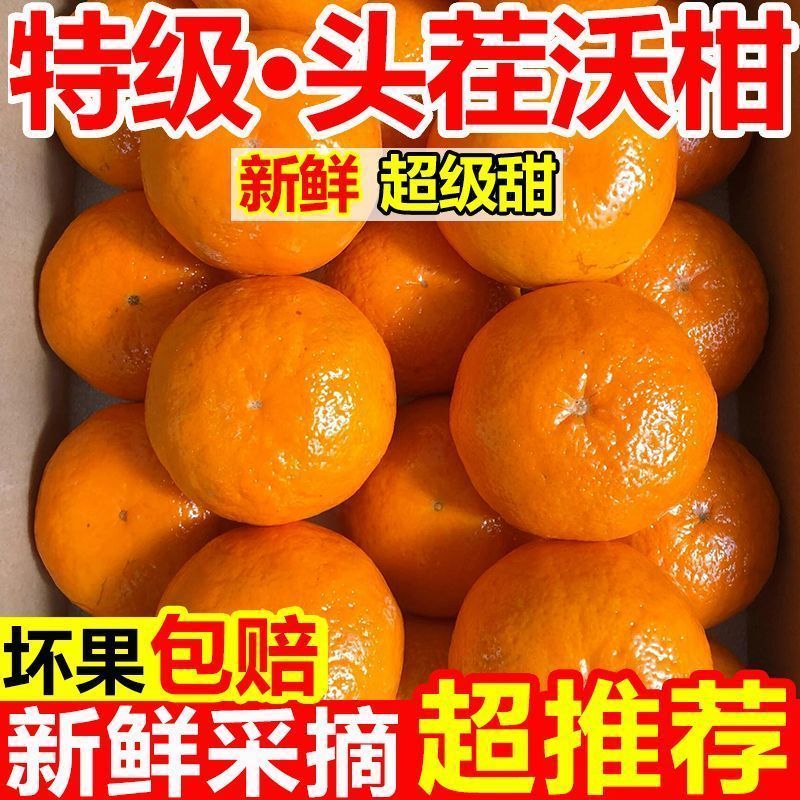 云南高山沃柑大量现货供应支持电商一件代发保质保量