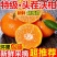 云南高山沃柑大量现货供应支持电商一件代发保质保量
